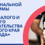 Проект региональной программы «Развитие малого и среднего предпринимательства Красноярского края до 2024 года» - Город Шарыпово