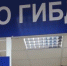 Госавтоинспекция информирует о работе подразделения РЭО ГИБДД с 30 октября по 7 ноября - Sharypovo.Today
