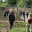Акция "Сад Памяти" не стоит на месте - Sharypovo.Today