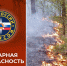 Детям о правилах пожарной безопасности в лесу. - Город Шарыпово